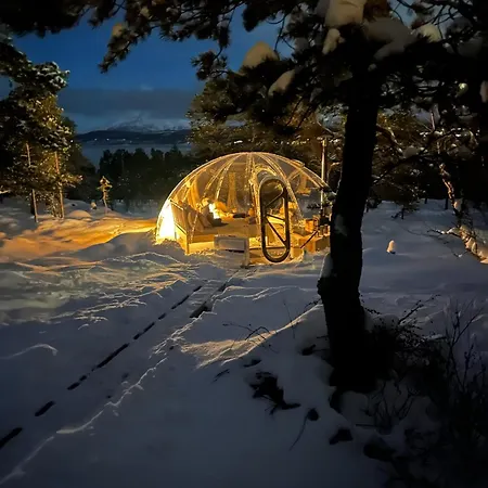 Hytta Og Iglo Unik Opplevelse Kjerkevik