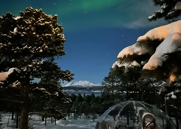 Hytta Og Iglo Unik Opplevelse Dom wakacyjny *
